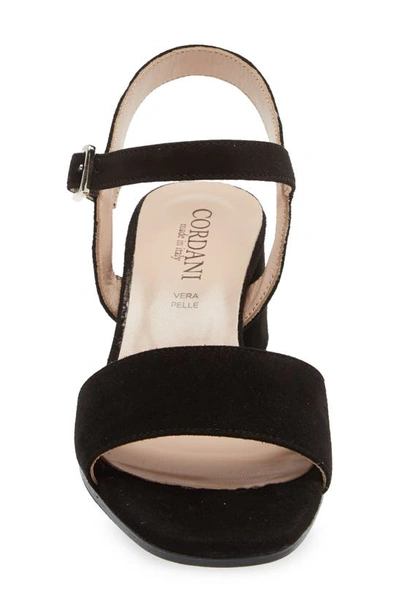Cordani Irisse Block Heel Sandal In Black Suede