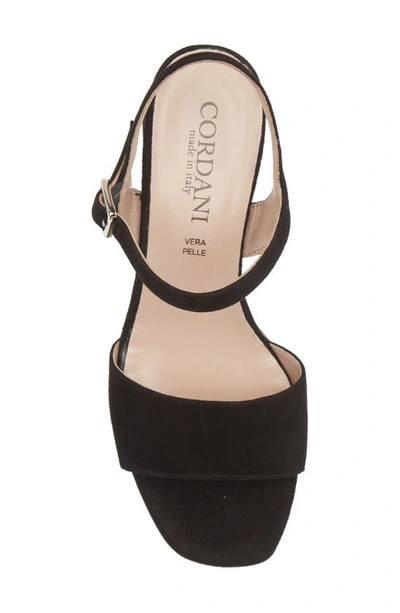 Cordani Irisse Block Heel Sandal In Black Suede