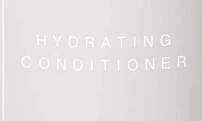Shop Dr Barbara Sturm Hydrating Conditioner, 8.5 oz