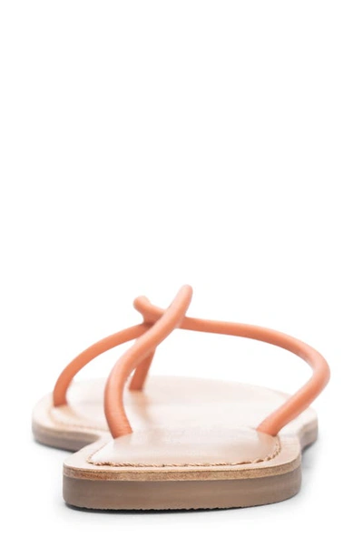 Shop Chinese Laundry Camisha Flip Flop In Coral