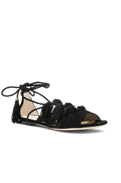 Shop Jimmy Choo Suede Mindy Sandals In Black