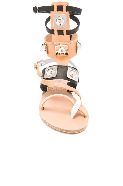 Shop Ancient Greek Sandals X Peter Pilotto Leather Low Gladiator Sandals In Black, Natural & White