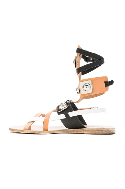 Shop Ancient Greek Sandals X Peter Pilotto Leather Low Gladiator Sandals In Black, Natural & White