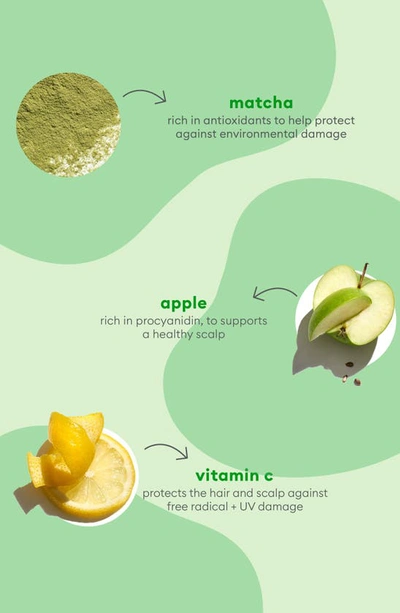 Briogeo Superfoods Kale, Apple, Matcha And Apple Replenishing Shampoo And Conditioner Duo