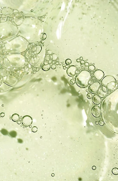 Briogeo Superfoods Kale, Apple, Matcha And Apple Replenishing Shampoo And Conditioner Duo