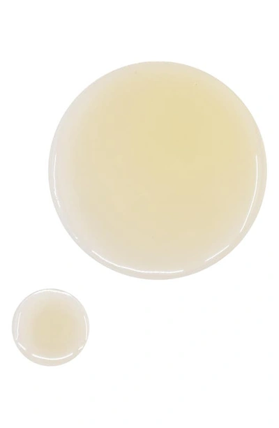 Osea Fragrance Free Undaria Algae Body Oil