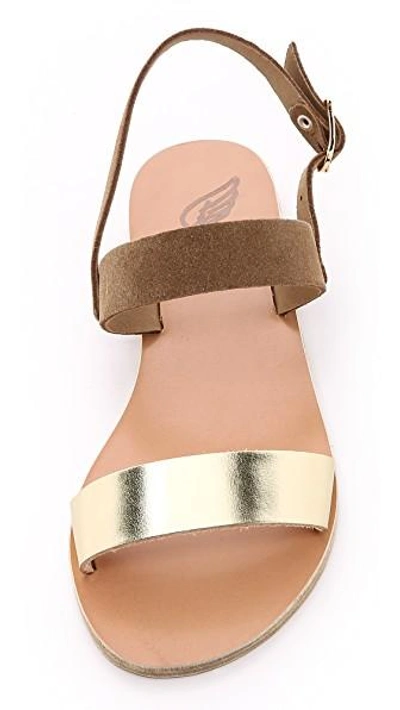 Shop Ancient Greek Sandals Clio Sandals In Camel/platinum