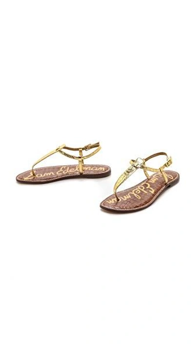 Shop Sam Edelman Gigi T Strap Flat Sandals In Gold