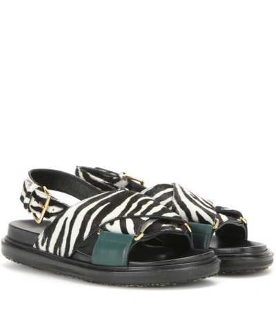 Shop Marni Zebra Printed Calf Hair Sandals