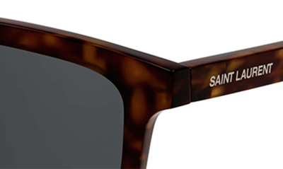Shop Saint Laurent Ace 56mm Square Sunglasses In Havana