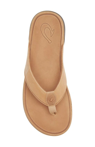 Shop Olukai Tuahine Waterproof Flip Flop In Golden Sand/ Golden Sand