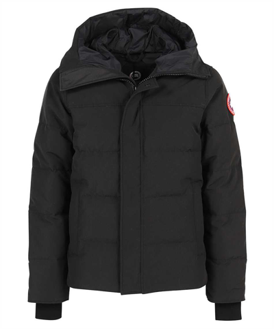 Shop Canada Goose Macmillan Jacket In Black