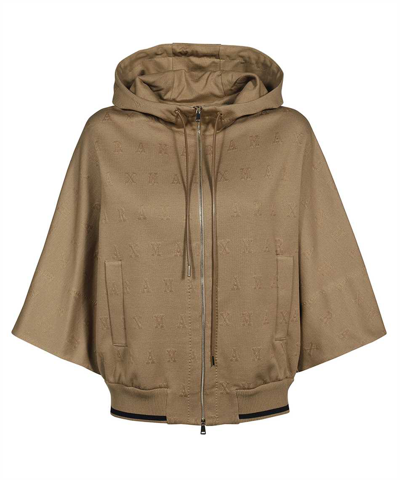 Lampo Hoodie In Brown