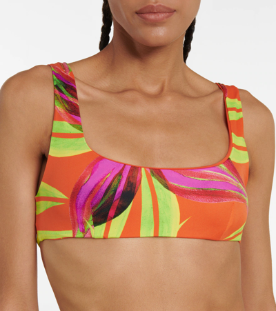 Louisa Ballou Scoop Printed Bikini Top In Print 1