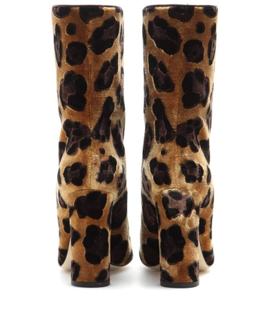 Shop Dolce & Gabbana Velvet Boots
