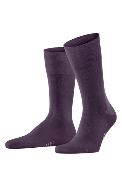 Shop Falke Tiago Cotton Dress Socks In Wine Berry