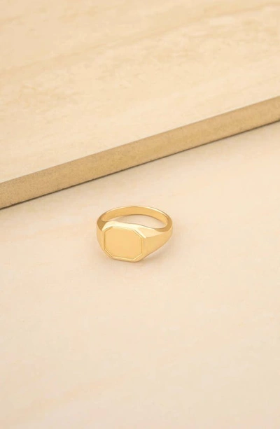 Shop Ettika 18k Gold Plated Signet Ring