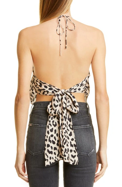 Shop Alice And Olivia Frenchie Leopard Print Back Tie Halter Top In Leopard-sand