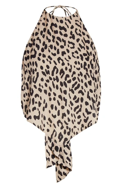 Shop Alice And Olivia Frenchie Leopard Print Back Tie Halter Top In Leopard-sand
