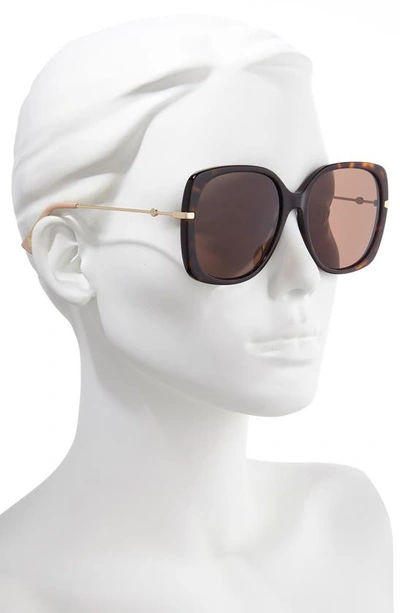 Shop Gucci 57mm Square Sunglasses In Havana