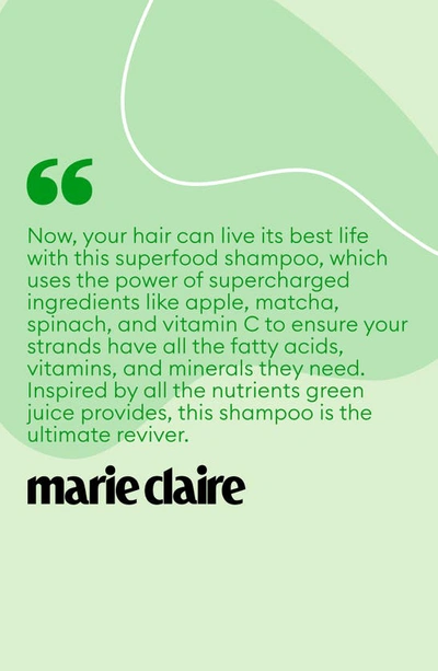 Briogeo Superfoods Kale, Apple, Matcha And Apple Replenishing Shampoo And Conditioner Duo