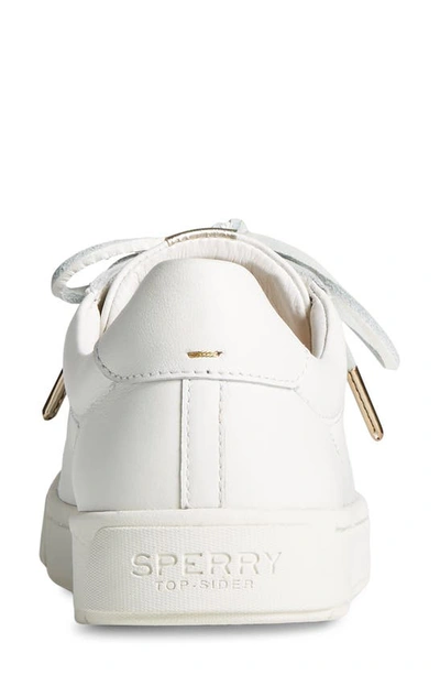 Shop Sperry Gold Cup Anchor Sneaker In White