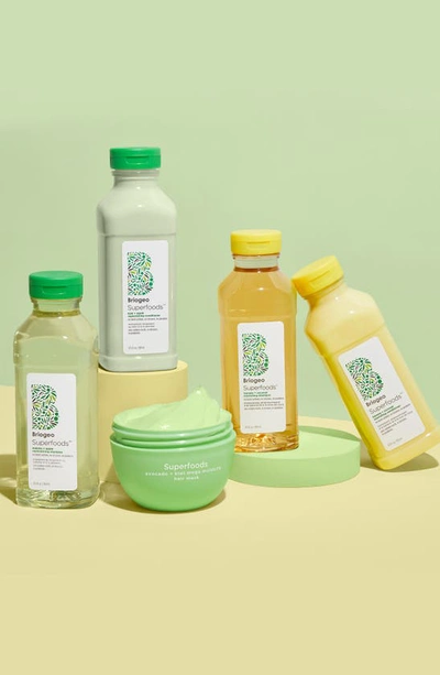 Briogeo Be Gentle, Be Kind Matcha + Apple Replenishing Superfood Shampoo 12.5 Oz.