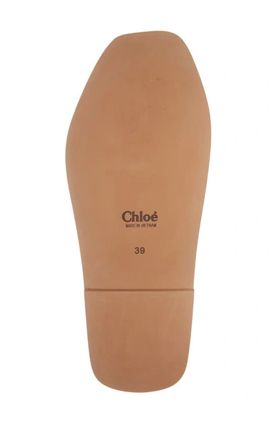 Chloé Chloè Sandals In White