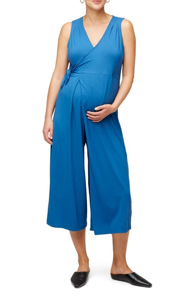 Shop Nom Maternity Francesca Wide Leg Maternity/nursing Jumpsuit In Dusk Navy