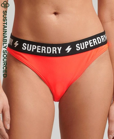 Shop Superdry Women's Elastic Bikini Briefs Cream