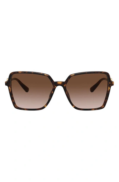 Shop Versace 58mm Square Sunglasses In Havana/ Brown Gradient