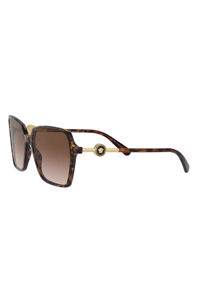 Shop Versace 58mm Square Sunglasses In Havana/ Brown Gradient