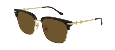 Shop Gucci Gg0918s 002 Clubmaster Sunglasses In Brown