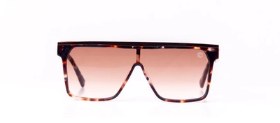Shop Fubu Frames Stuyvesant Brown Flat Top Sunglasses