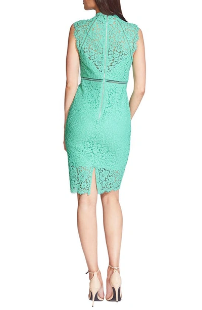Shop Bardot Lace Sheath Cocktail Dress In Mint Green