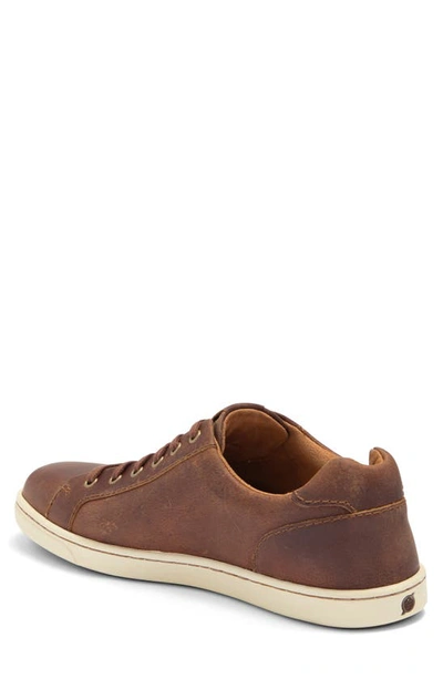 Shop Brn Børn Ashram Ii Sneaker In Rust Natural