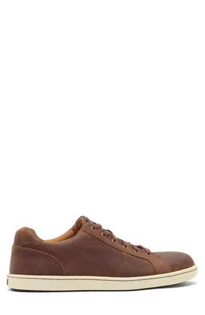 Brn Born Ashram Ii Lace-up Sneaker In Rust Natural