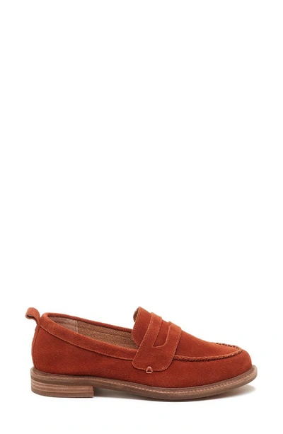 Kelsi Dagger Brooklyn Lens Penny Loafer In Spice