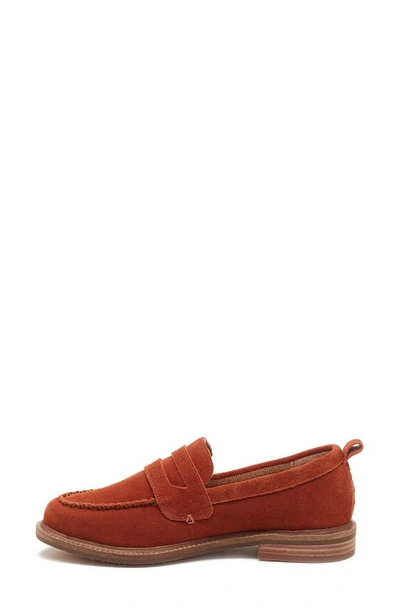 Kelsi Dagger Brooklyn Lens Penny Loafer In Spice