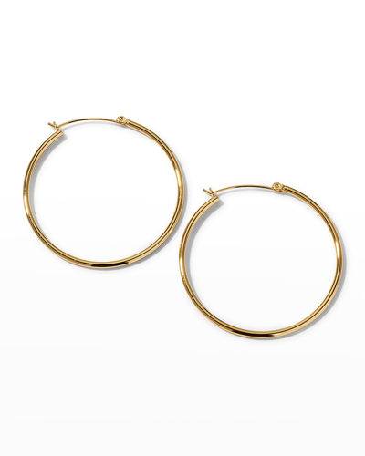 Shop Devon Leigh Gold-plate Hinge Back Hoop Earrings