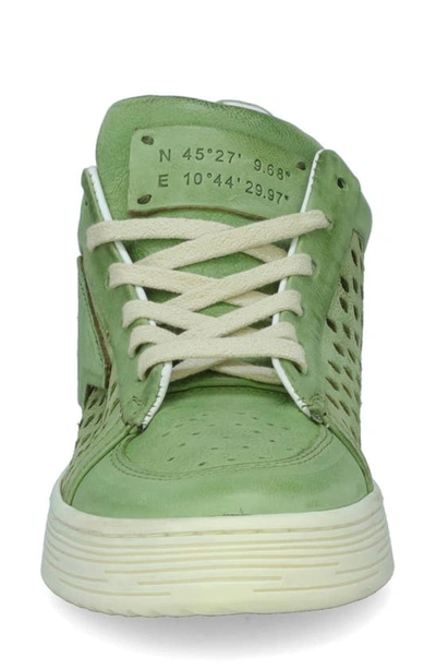 As98 Adrian Sneaker In Aloe