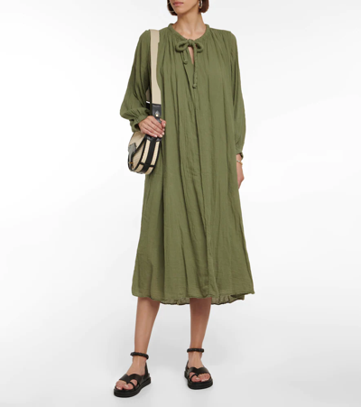 Shop Velvet Frankie Cotton Voile Midi Dress In Branch