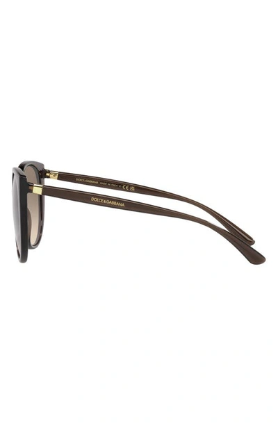 Shop Dolce & Gabbana 54mm Mirrored Cat Eye Sunglasses In Brown/ Brown Gradient