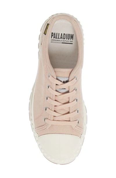Shop Palladium Pallashock Sneaker In Rose Dust
