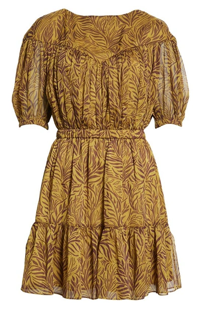 Shop Ted Baker Mairley Leaf Print Ruffle Hem Dress In Mid Yellow
