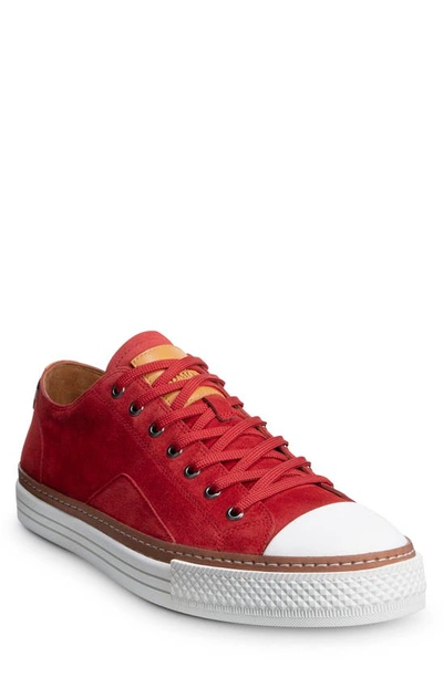Shop Allen Edmonds Pasadena Sneaker In Crimson