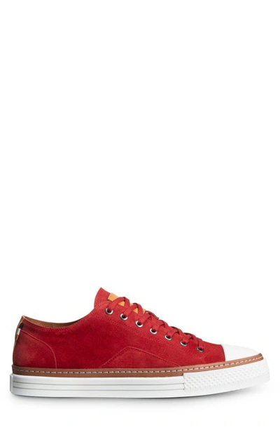 Shop Allen Edmonds Pasadena Sneaker In Crimson