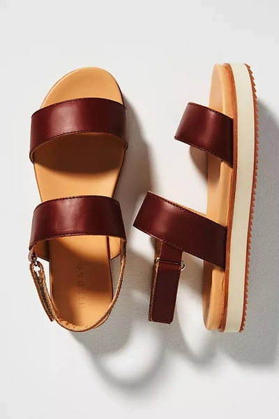 Shop Nisolo Go-to Platform Sandals In Multicolor