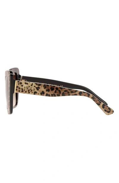Dolce & Gabbana Dolce&gabbana Woman Sunglass Dg4348 In Black Brown