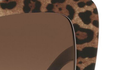 Dolce & Gabbana Dolce&gabbana Woman Sunglass Dg4348 In Black Brown